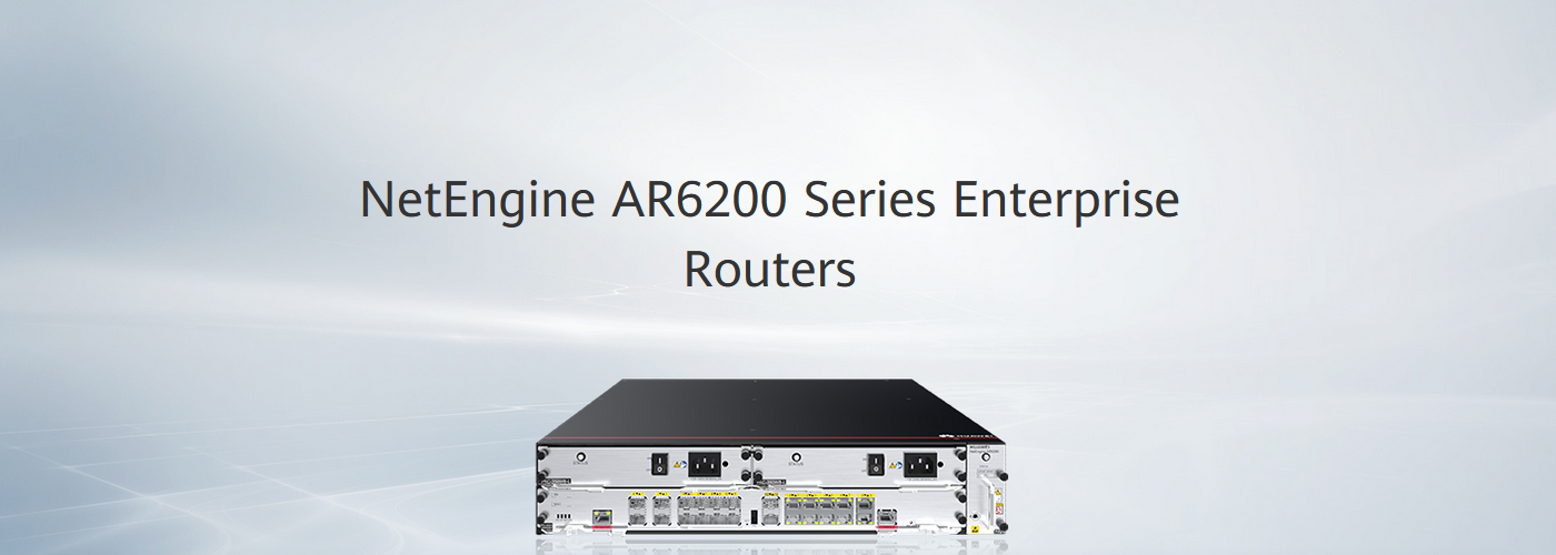 Netengine Ar6200 Series Enterprise Routers Ar6280 Coconet 